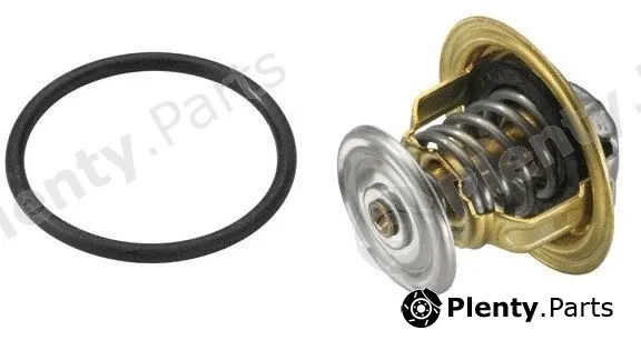 MTR 12192202 — Thermostat, coolant