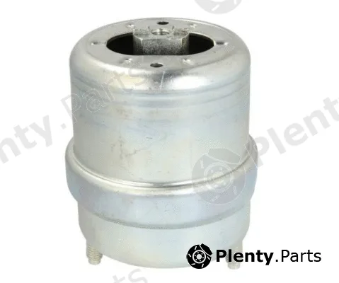 MTR 12162529 — Mounting, engine