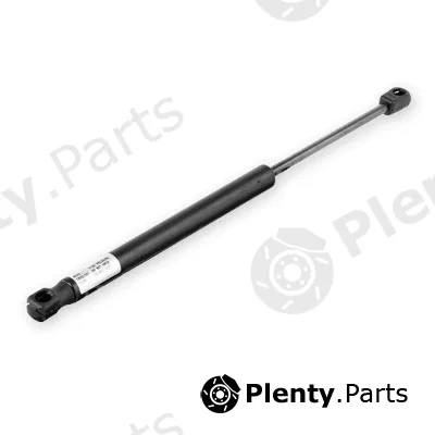 MTR 12135406 — Gas Spring, boot/cargo area