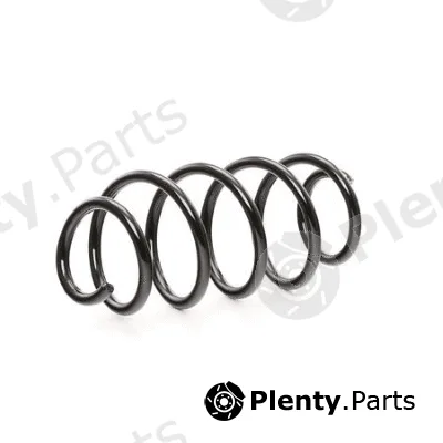 MTR 12108670 — Suspension Spring