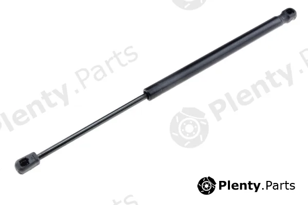 MTR 12161345 — Gas Spring, boot/cargo area