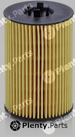 MTR 12138246 — Oil Filter