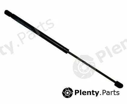 MTR 12191899 — Gas Spring, boot/cargo area