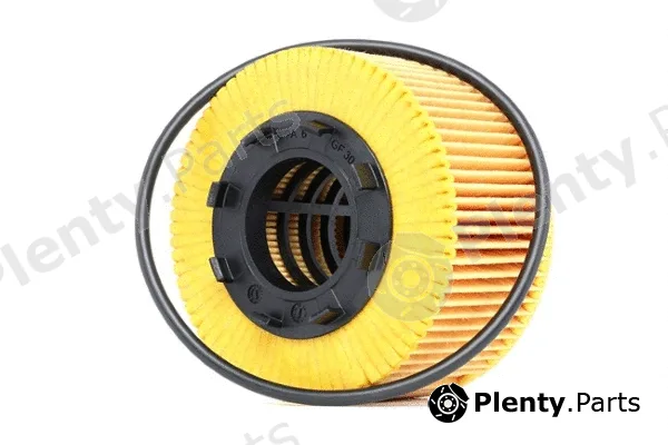 MTR 12138304 — Oil Filter