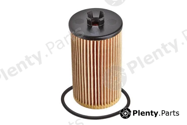 MTR 12135347 — Oil Filter