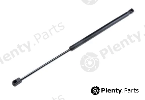 MTR 12191755 — Gas Spring, boot/cargo area