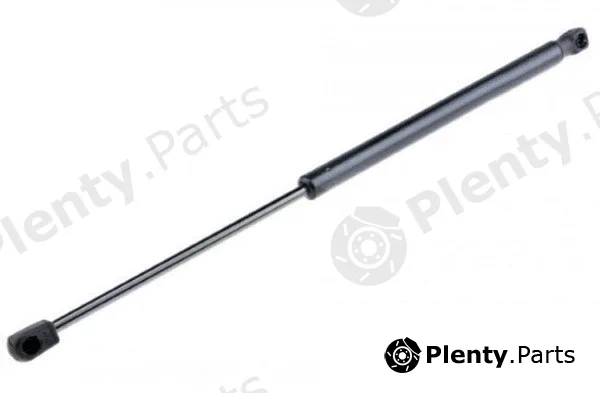 MTR 12191894 — Gas Spring, boot/cargo area