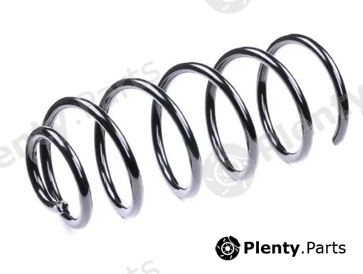 MTR 12108672 — Suspension Spring