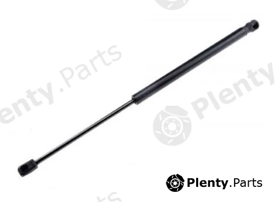 MTR 12191344 — Gas Spring, boot/cargo area