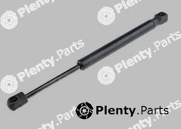 MTR 12191528 — Gas Spring, boot/cargo area