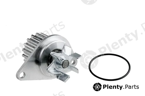 MTR 12171017 — Water Pump, engine cooling