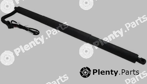 MTR 12194978 — Gas Spring, boot/cargo area