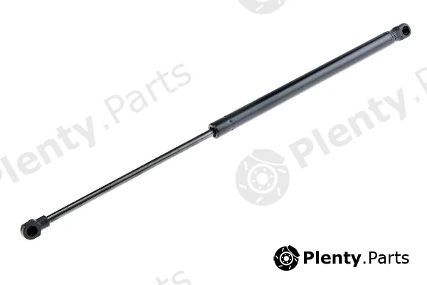 MTR 12161349 — Gas Spring, boot/cargo area