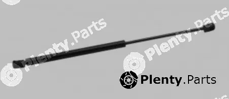 MTR 12191895 — Gas Spring, boot/cargo area