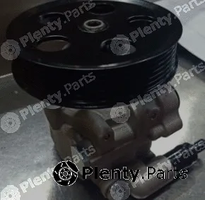 MTR 12108586 — Hydraulic Pump, steering