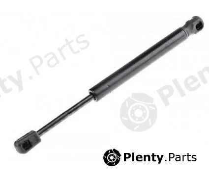 MTR 12191928 — Gas Spring, boot/cargo area