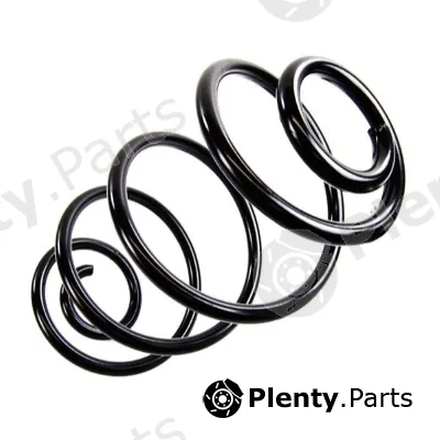MTR 12108660 — Suspension Spring