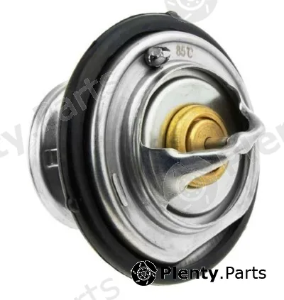 MTR 12220598 — Thermostat, coolant