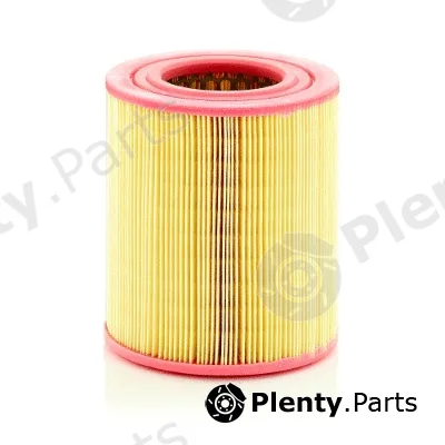 MTR 12138665 — Air Filter