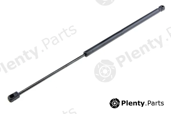MTR 12161348 — Gas Spring, boot/cargo area
