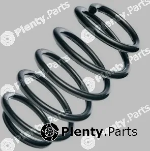 MTR 12108661 — Suspension Spring