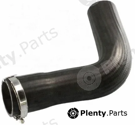 MTR 12106359 — Charge Air Hose