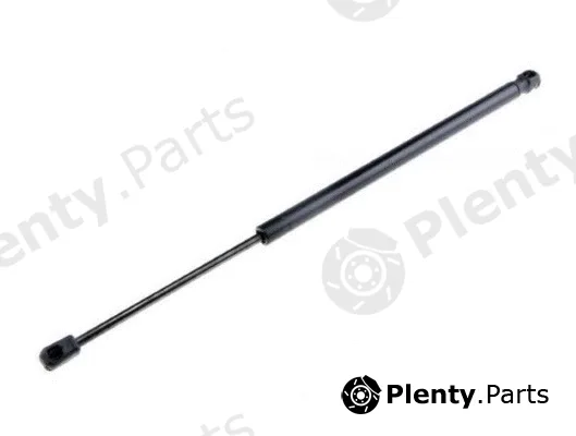 MTR 12192133 — Gas Spring, boot/cargo area