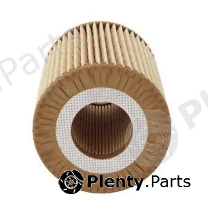 MTR 12138296 — Oil Filter