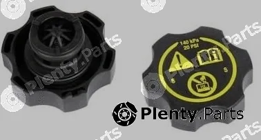 MTR 12191509 — Cap, coolant tank