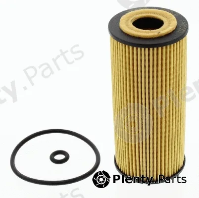 MTR 12138375 — Oil Filter