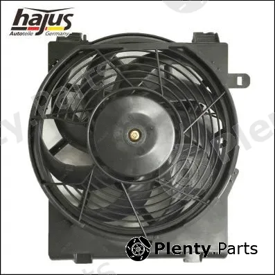 hajus Autoteile 1211313 — Fan, engine cooling