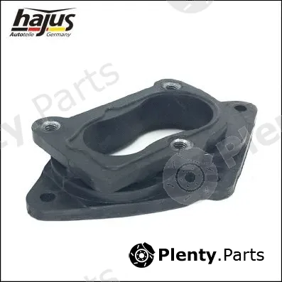 hajus Autoteile 1311005 — Flange, carburettor