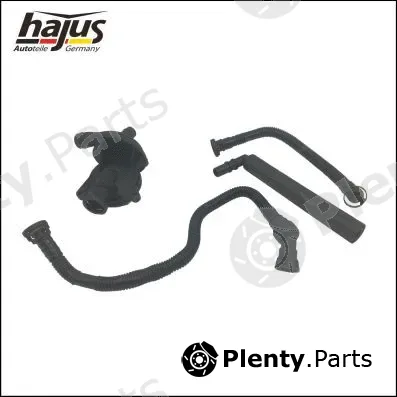 hajus Autoteile 1151263 — Repair Kit, crankcase ventilation