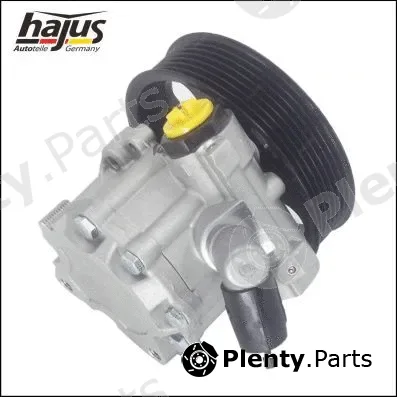 hajus Autoteile 4221035 — Hydraulic Pump, steering