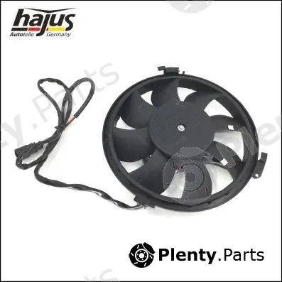 hajus Autoteile 1211041 — Fan, engine cooling