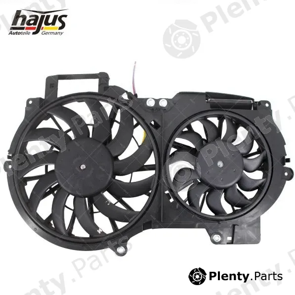 hajus Autoteile 1211549 — Fan, engine cooling