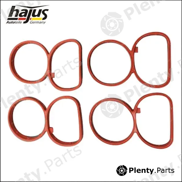 hajus Autoteile 2511050 — Gasket Set, intake manifold