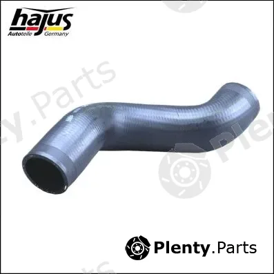 hajus Autoteile 1451091 — Charge Air Hose