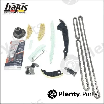 hajus Autoteile 1151341 — Timing Chain Kit