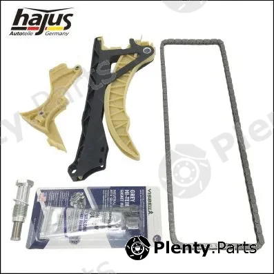 hajus Autoteile 1151317 — Timing Chain Kit