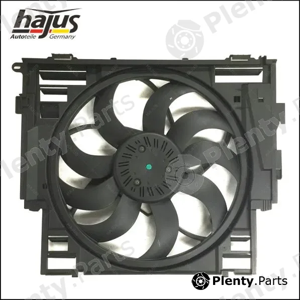 hajus Autoteile 1211348 — Fan, engine cooling