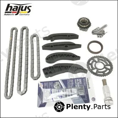 hajus Autoteile 1151318 — Timing Chain Kit