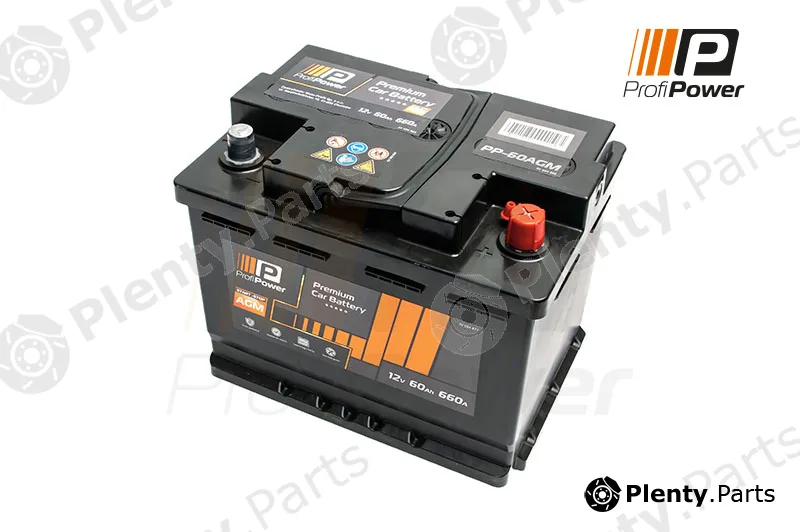 ProfiPower PP-600AGM — Starter Battery