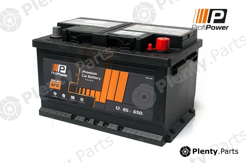 ProfiPower PP-650EFB — Starter Battery