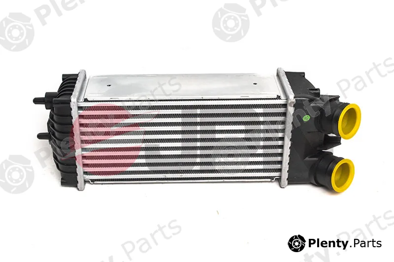 JPN 60C9279-JPN — Charge Air Cooler