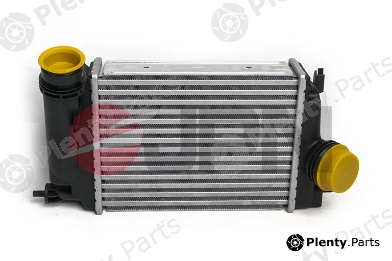 JPN 60C9328-JPN — Charge Air Cooler