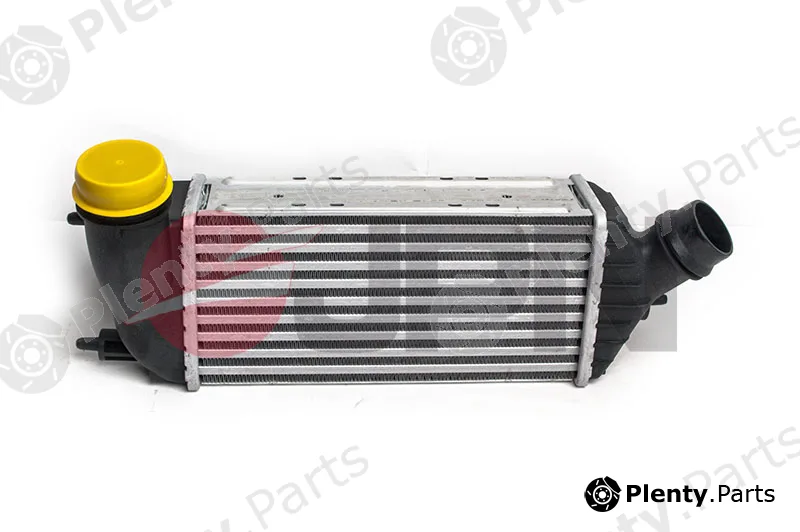 JPN 60C9274-JPN — Charge Air Cooler