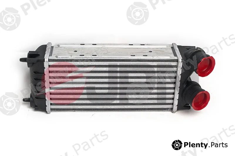 JPN 60C9273-JPN — Charge Air Cooler