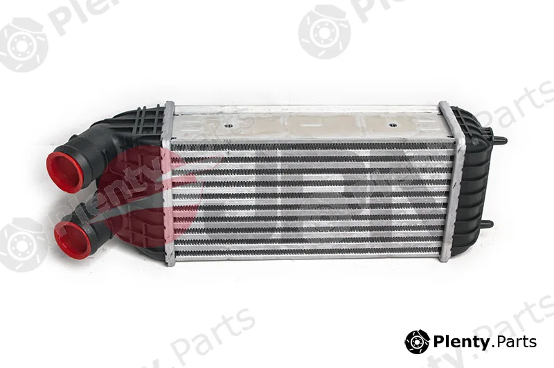 JPN 60C9344-JPN — Charge Air Cooler