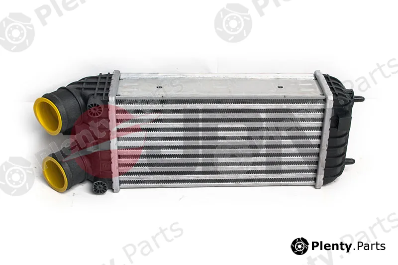 JPN 60C9346-JPN — Charge Air Cooler